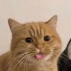ITNEEDIT