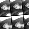 x3anyl