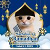 budi.saputra86