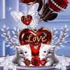 md..sabbir8227