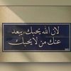 zied_501