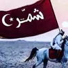 user106557312611