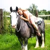 bella_irishcob