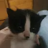 lele0284829