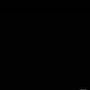 connydamico