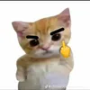 _longgnhatt2
