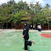 llyasall_