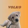 Volko The Lab