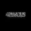 shahdmohammed9048