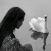 jx_9ii