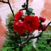 nguyentung0405