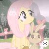 flattersha2