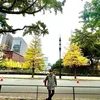 nguyn.manh.hung0