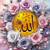 user8831867684495