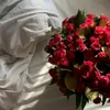 ls_r244