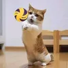 zai_atsypis