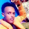 kamil12346782