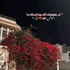 mooon0k