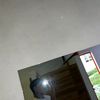 jatdiel.stx