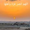 seoudy.selim