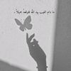 mohmad.20234
