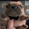 diegosantana7256