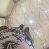 mhd.king56