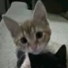 3mptyy._