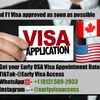 b1b2visa