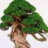 hmingfeng1