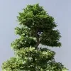 minh.tovan