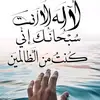 aboelazaem3