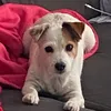nala07305