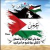 omar.elsheta