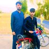 shanjani447
