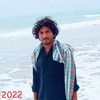 jaloo4288