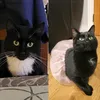 caoimhemccs