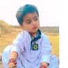 deedar.ali536