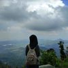 pijajawww