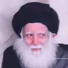 .31301182