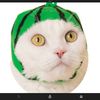 katoonptn