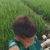 akuyoraroh26