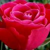 wasim.mailsi