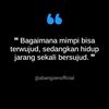 najmudin460