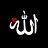 hamdi761815