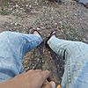 23minang