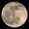 moon_mr00