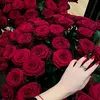 user8861570870244