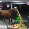 Memes do dixcord