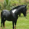 bryan_5aa